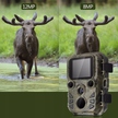 MINI Kamera leśna myśliwska fotopułapka DETEKCJA (4)